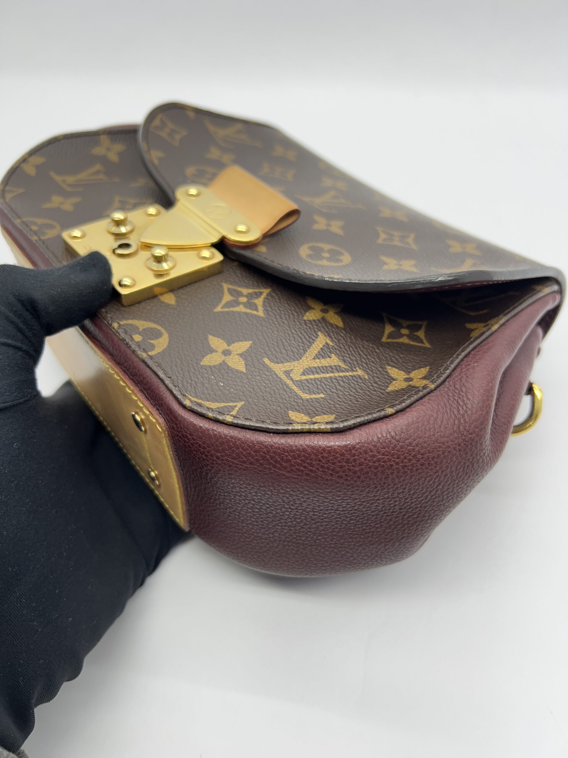 Eden PM Monogram Bordeaux