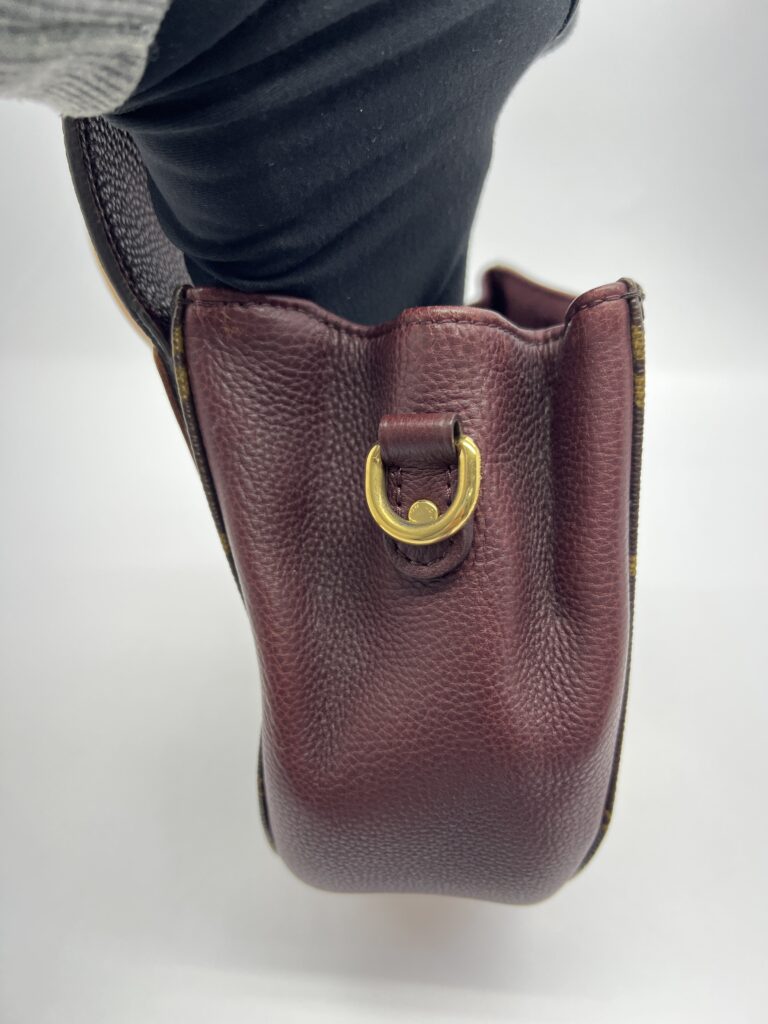Eden PM Monogram Bordeaux