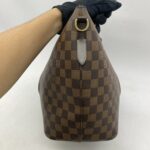 Siena MM Damier Ebene