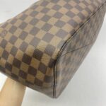 Siena MM Damier Ebene