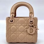 Lady Dior Mini All Nude Matte