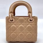 Lady Dior Mini All Nude Matte