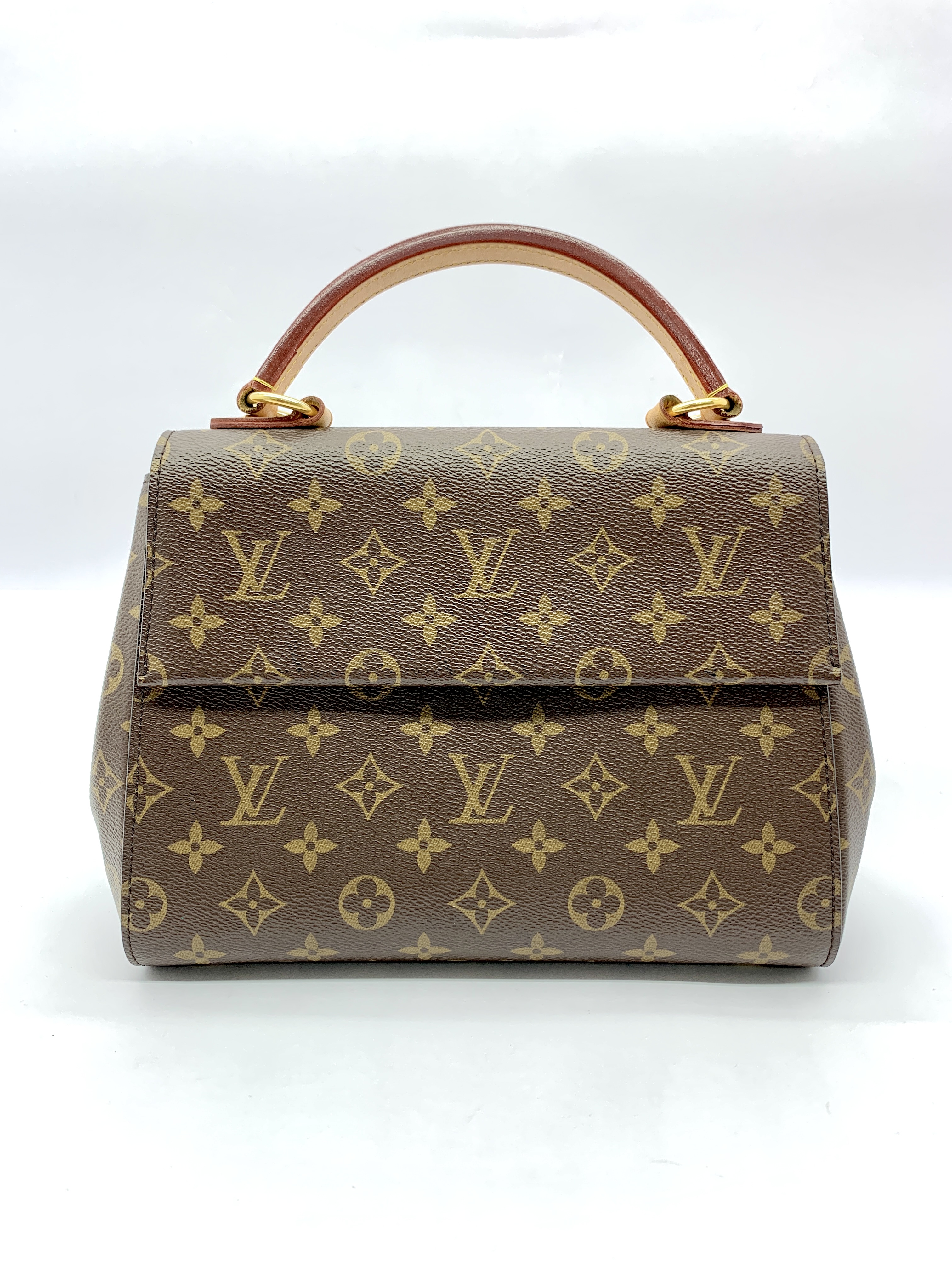 Cluny Bb Monogram Bordeaux Fuchsia