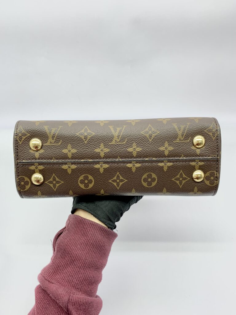 Cluny Bb Monogram Bordeaux Fuchsia