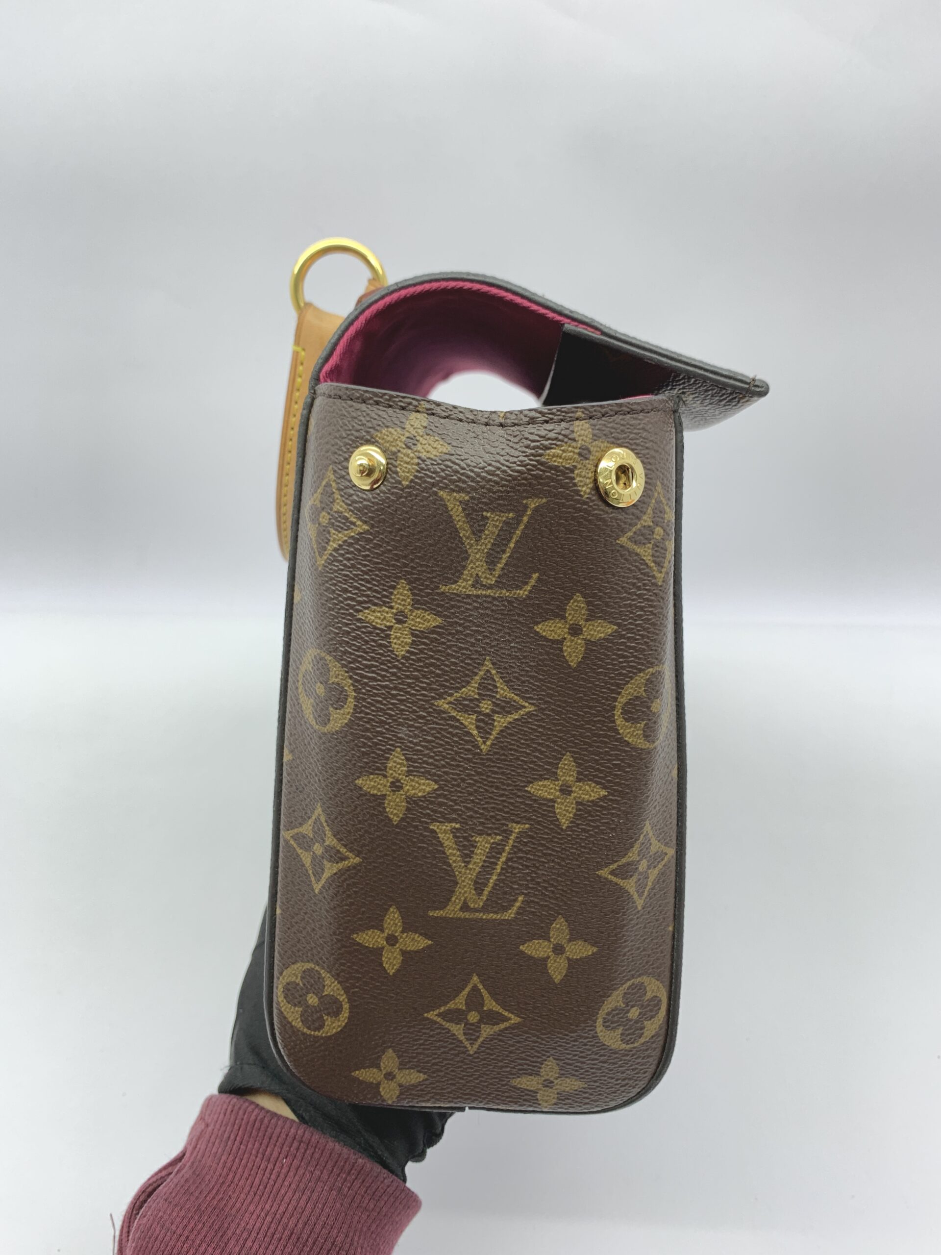 Cluny Bb Monogram Bordeaux Fuchsia