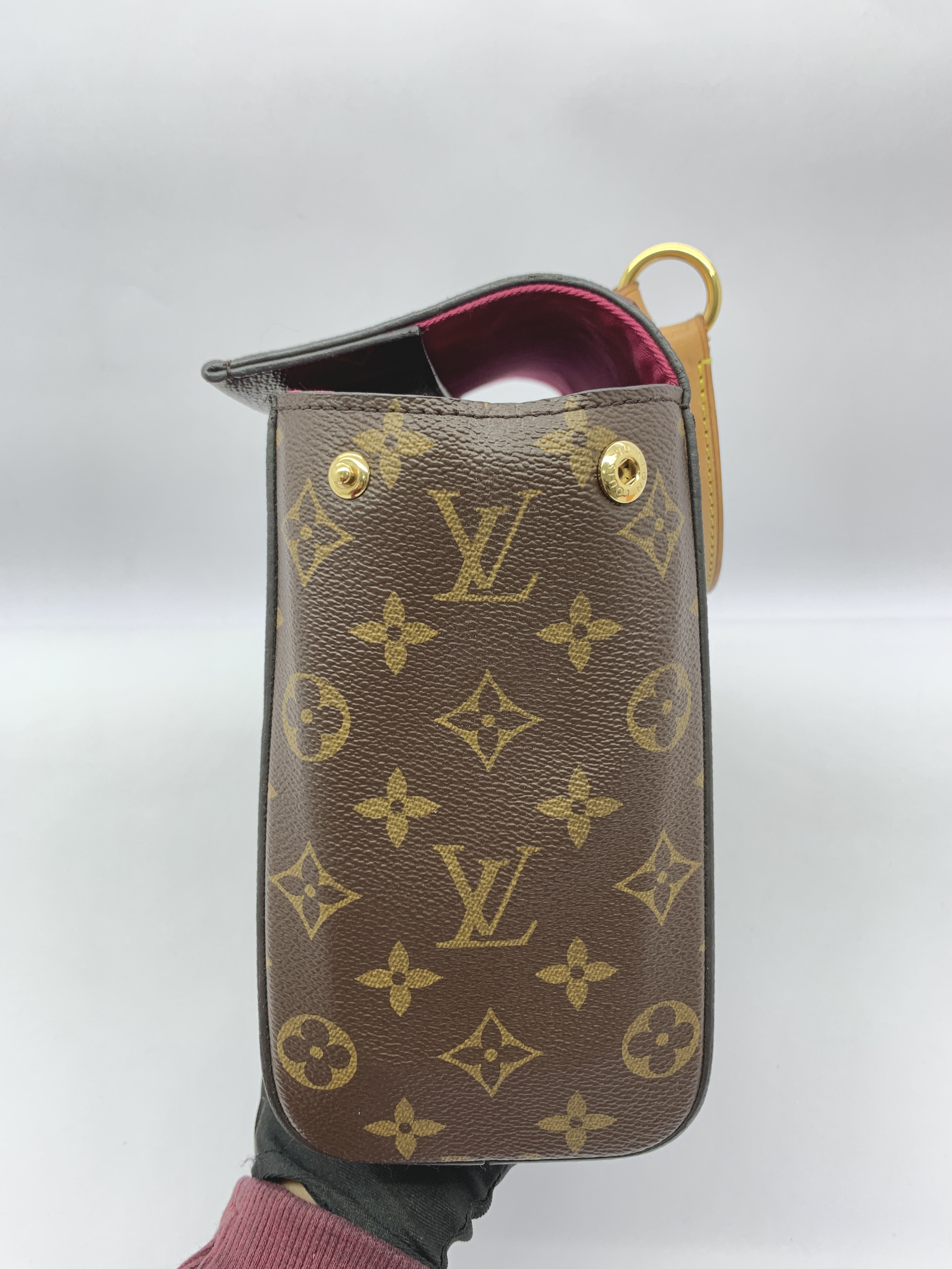 Cluny Bb Monogram Bordeaux Fuchsia