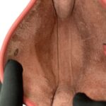 Mini Evelyne Clemence Rose Azalee Rose Confetti