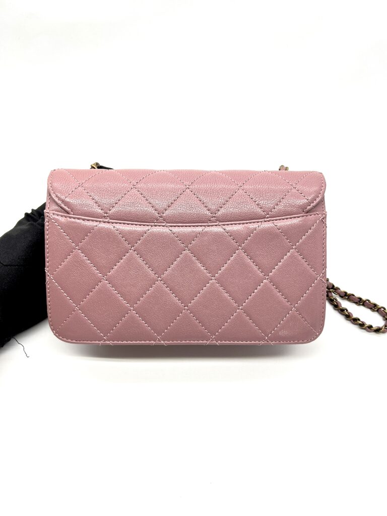 Chanel Beauty Lock Flap Bag Mauve GHW