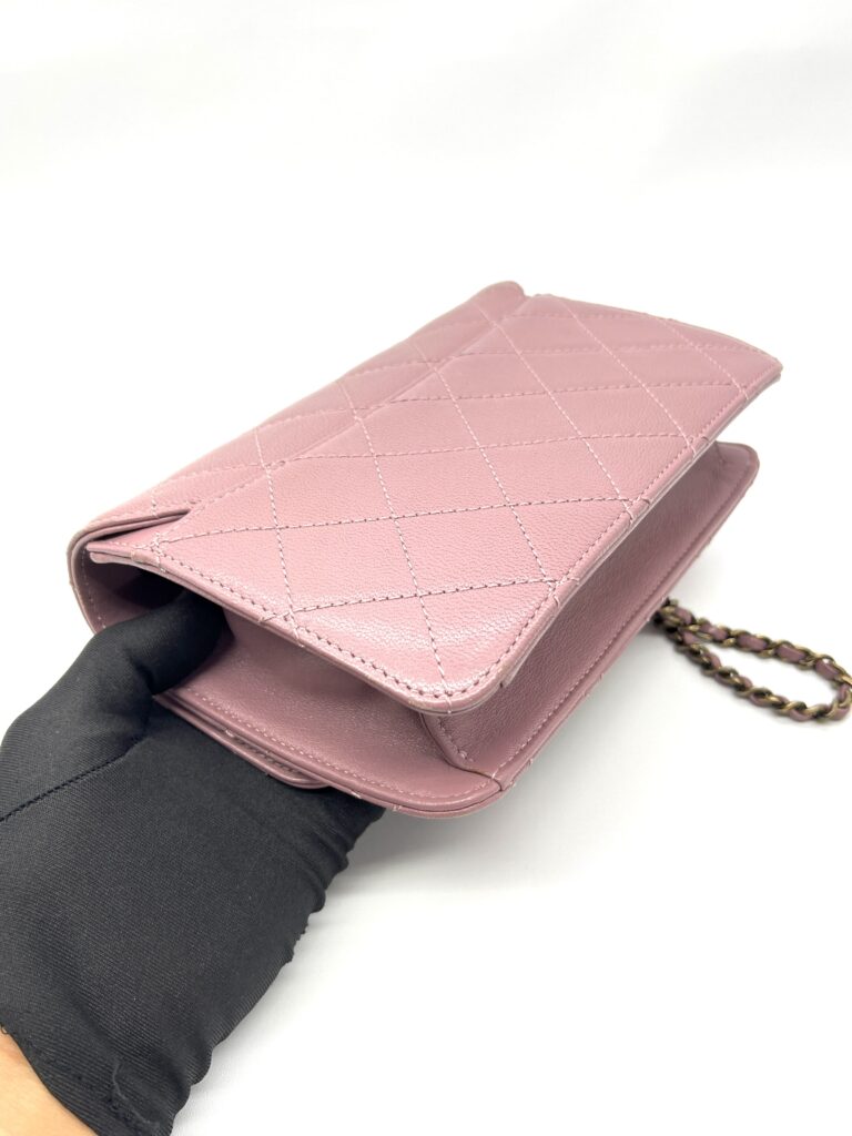 Chanel Beauty Lock Flap Bag Mauve GHW