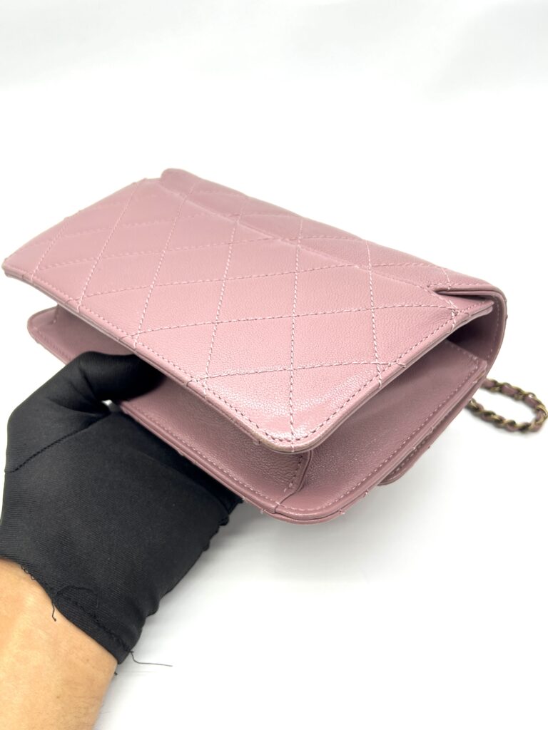 Chanel Beauty Lock Flap Bag Mauve GHW