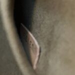 Boite Chapeau Souple Monogram