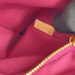 Cluny BB Monogram Bordeaux Fuchsia GHW