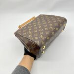 Cluny BB Monogram Bordeaux Fuchsia GHW