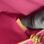Cluny BB Monogram Bordeaux Fuchsia GHW