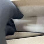 Ophidia Mini Shoulder Bag GG Supreme White Beige GHW