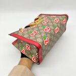 Padlock Shoulder Chain GG Supreme Red GHW