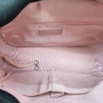 Gabrielle Medium Iridescent Light Pink