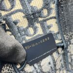 Diorchamp Small Canvas Navy Oblique LGHW