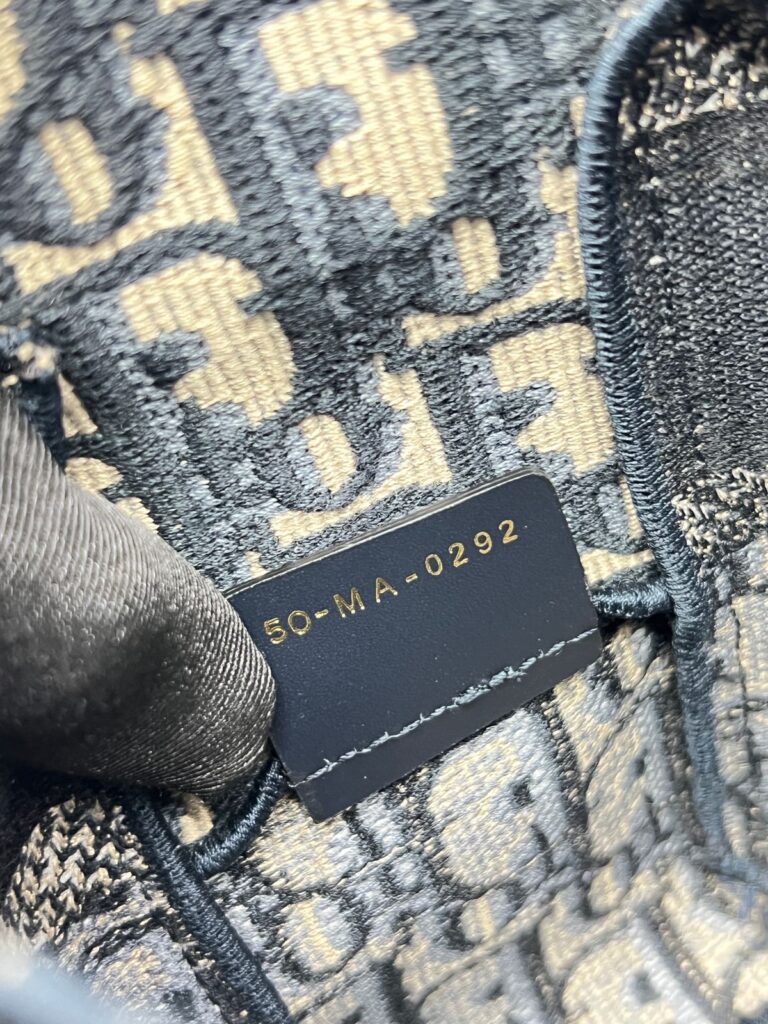 Diorchamp Small Canvas Navy Oblique LGHW