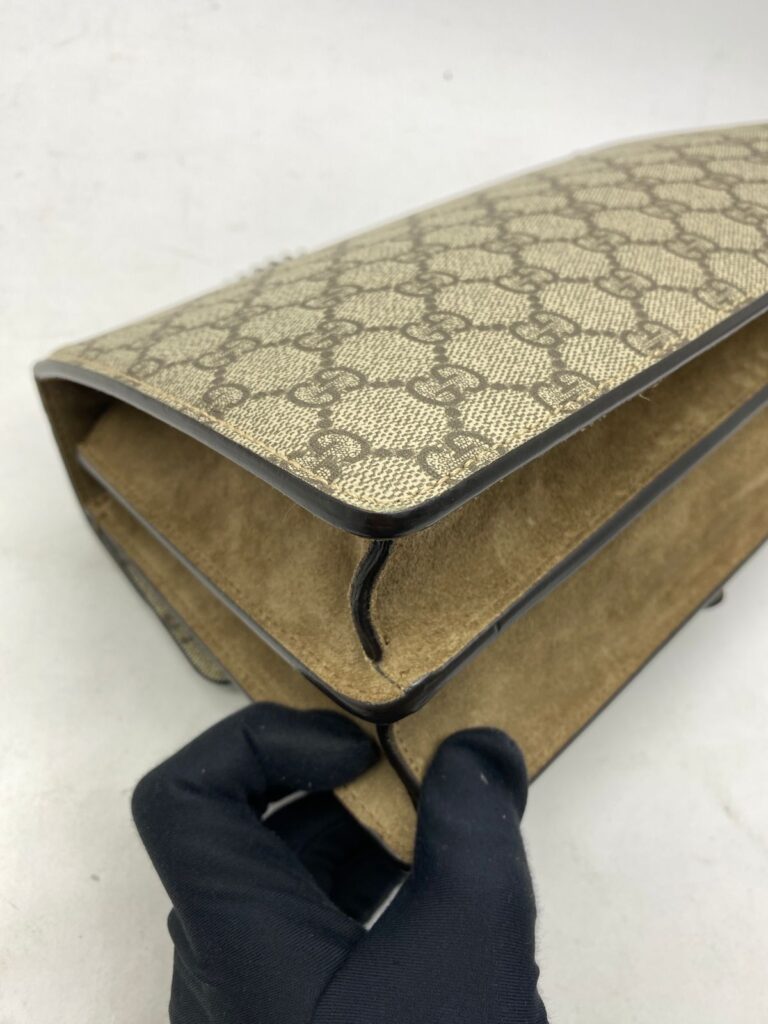 Dionysus Small GG Canvas Supreme SHW