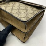 Dionysus Small GG Canvas Supreme SHW