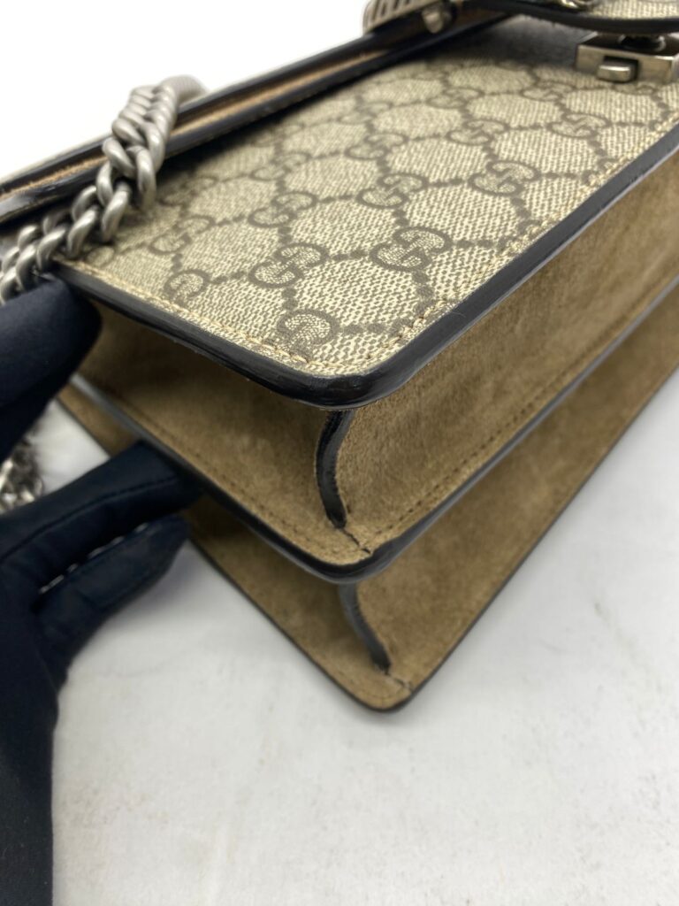 Dionysus Small GG Canvas Supreme SHW