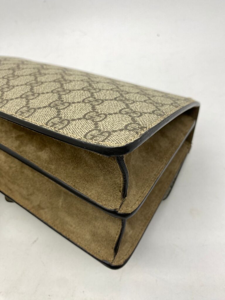 Dionysus Small GG Canvas Supreme SHW