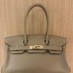 Birkin Shoulder 29 Poussiere Evercolor PBHW