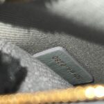 Lady Dior Medium Canvas Grey LGHW