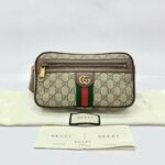 Ophidia GG Bumbag GG Supreme Brown GHW