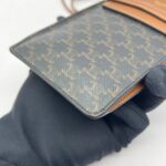 Phone Pouch With Flap Triomphe Canvas Tan GHW