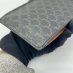 Phone Pouch With Flap Triomphe Canvas Tan GHW