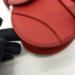 Saddle Mini Matte All Red