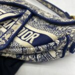 Saddle Medium Canvas Toile De Jouy GHW