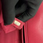 C19 Large Lambskin Red Pink