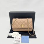 Classic WOC Caviar Dark Beige Woven CC GHW