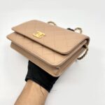 Classic WOC Caviar Dark Beige Woven CC GHW