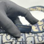 Medium Book Tote Blue Oblique