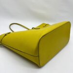 Neverfull MM Epi Pistache SHW