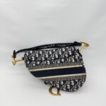 Saddle Medium Canvas Blue Oblique