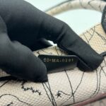 Medium Book Tote Canvas Embroidered Zodiac Pink Multicolor