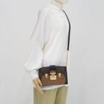 Trunk Clutch Bag Monogram Reverse