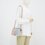 Chanel Boy 25 Caviar Rainbow