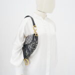 Dior Saddle Medium Canvas Oblique GHW