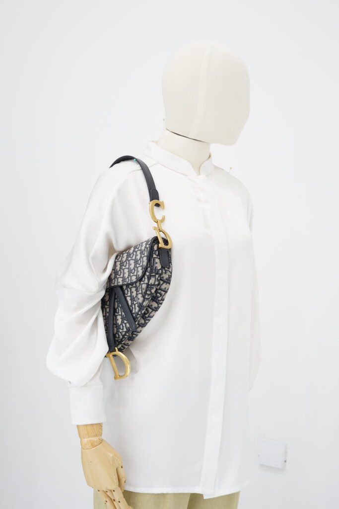 Dior Saddle Medium Canvas Oblique GHW
