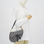 Dior Saddle Medium Canvas Oblique GHW