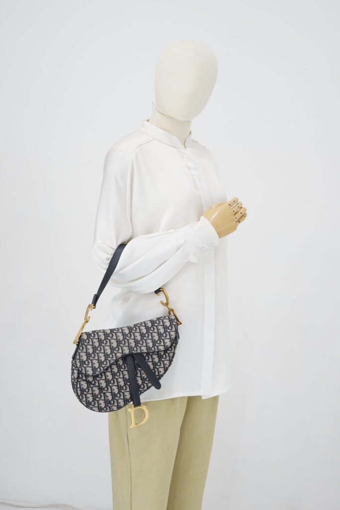 Dior Saddle Medium Canvas Oblique GHW