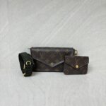 Louis Vuitton Felicie Strap Go Monogram GHW