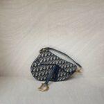 Dior Saddle Medium Canvas Oblique GHW