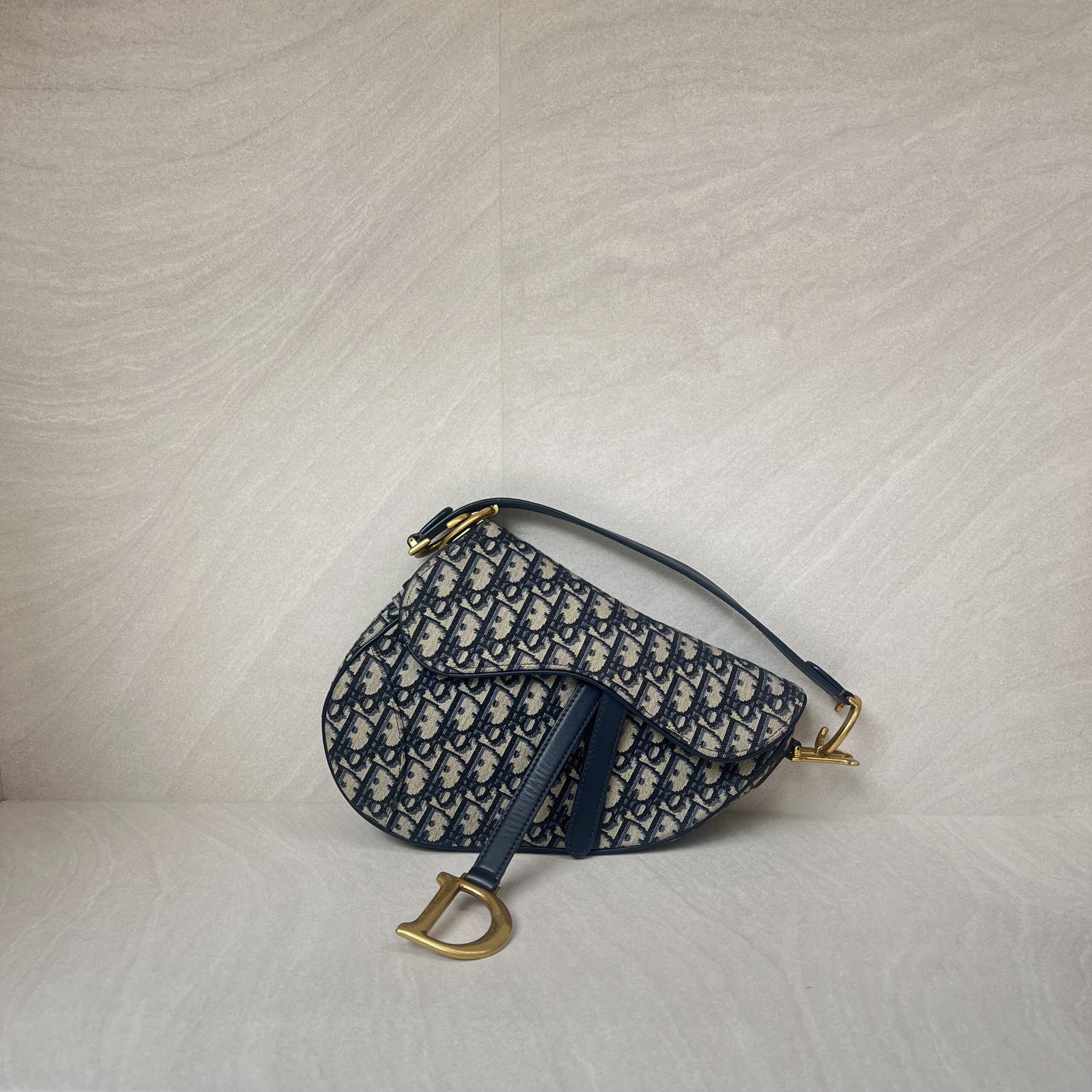 Dior Saddle Medium Canvas Oblique GHW